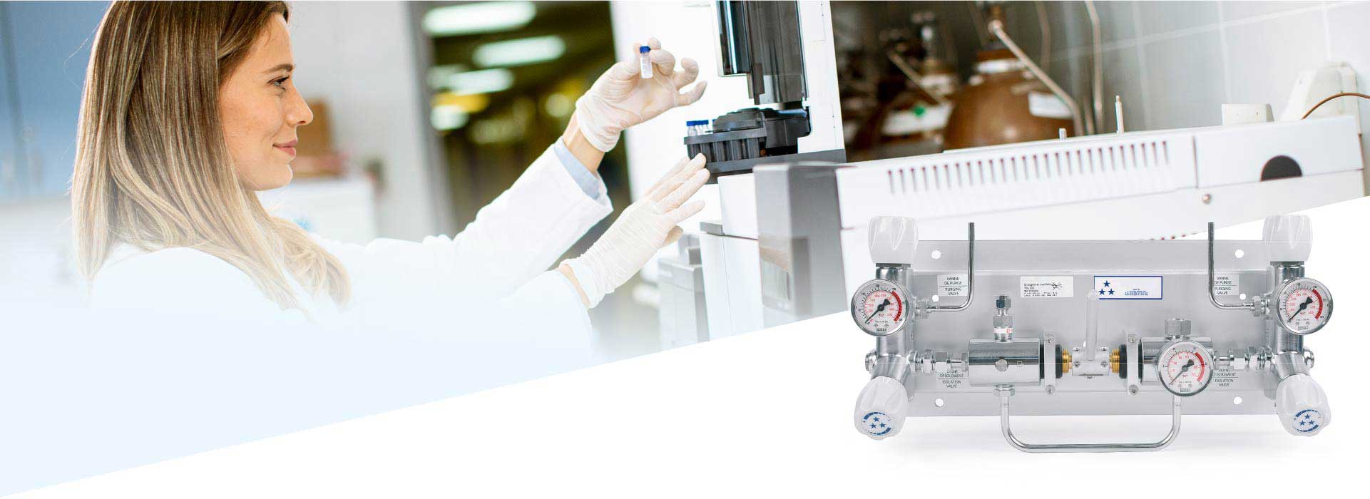 Full range of equipment for specialty and UHP gases Full range of equipment for specialty and UHP gases