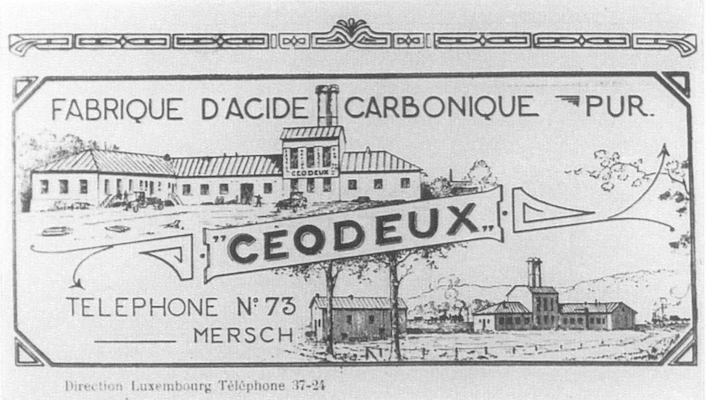 1<sup>ST</sup> LOGO Gallery Item