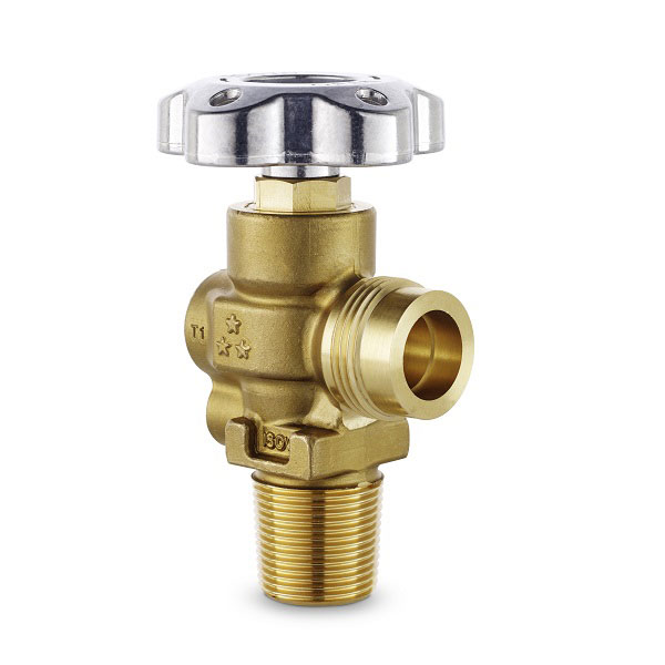 RPV valves RPV valves