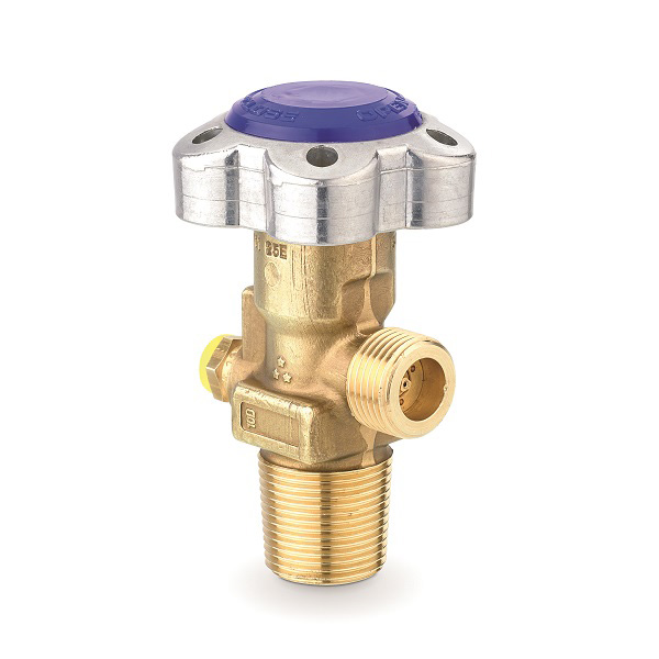 STANDARD RPV VALVES - C508 STANDARD RPV VALVES - C508