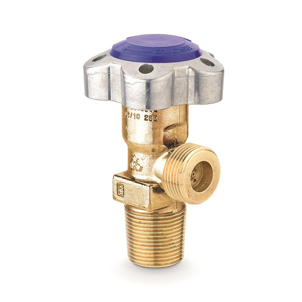 STANDARD RPV VALVES - C511/C516 STANDARD RPV VALVES - C511/C516