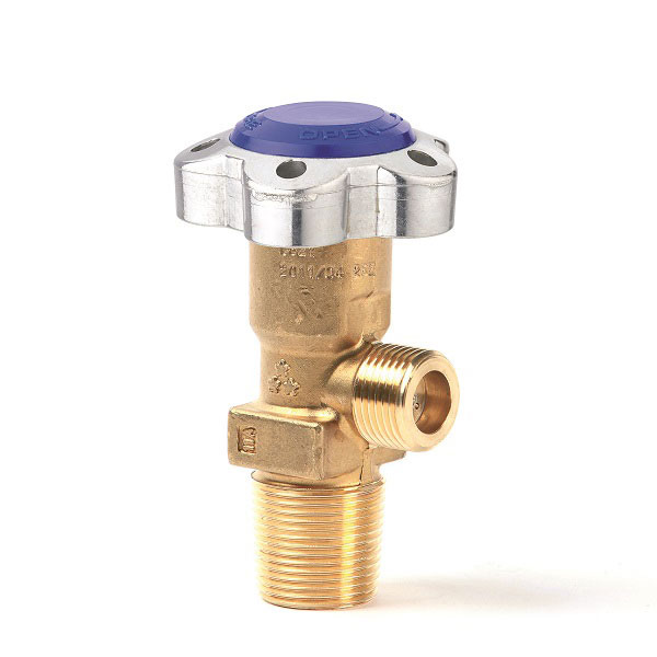 Standard RPV valves - C521/C526 Standard RPV valves - C521/C526