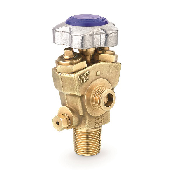 STANDARD RPV VALVES Y TYPE - C560 STANDARD RPV VALVES Y TYPE - C560